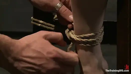 Sloane Soleil Day 2 Penyiksaan Ekstrem dan Perbudakan yang Tak Bisa Ditolak