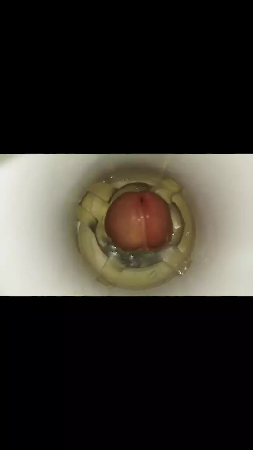 玩具高潮合集