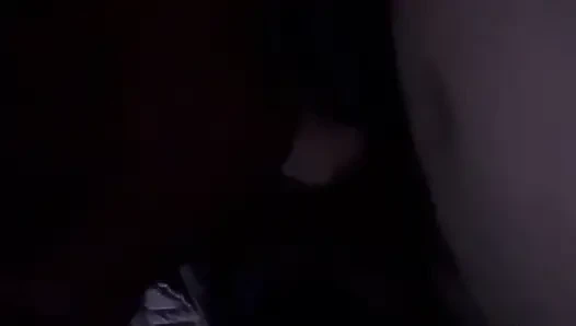 Kätzchen lutscht schwanz