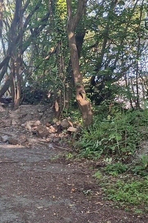 Outdoor Naked, Gaping and Pissing
