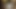 お尻に23Cmも入れられなかった