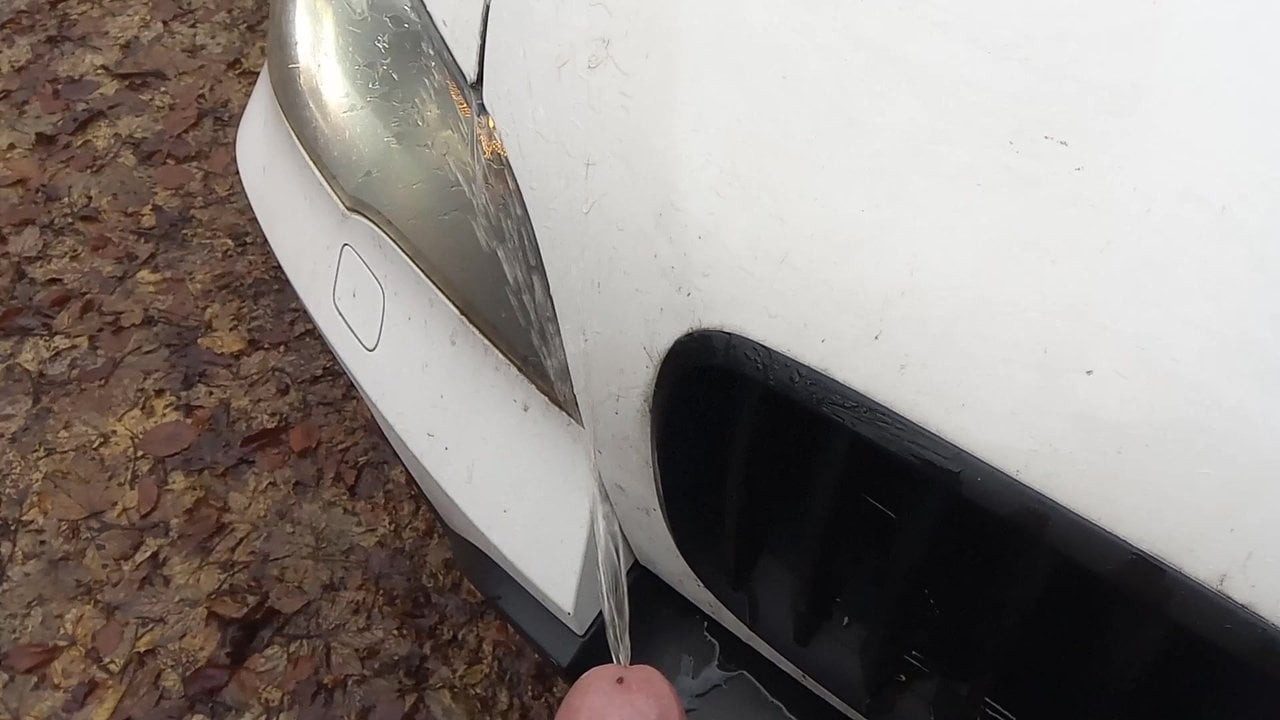 Piss on my BMW