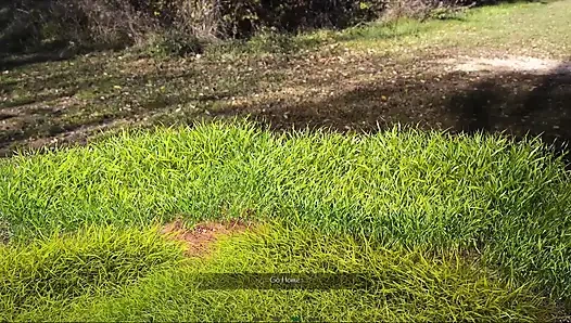 Radiant #2 - Johannes and the ladies had brecfast together... Johannes fucked the waiter in the bathroom