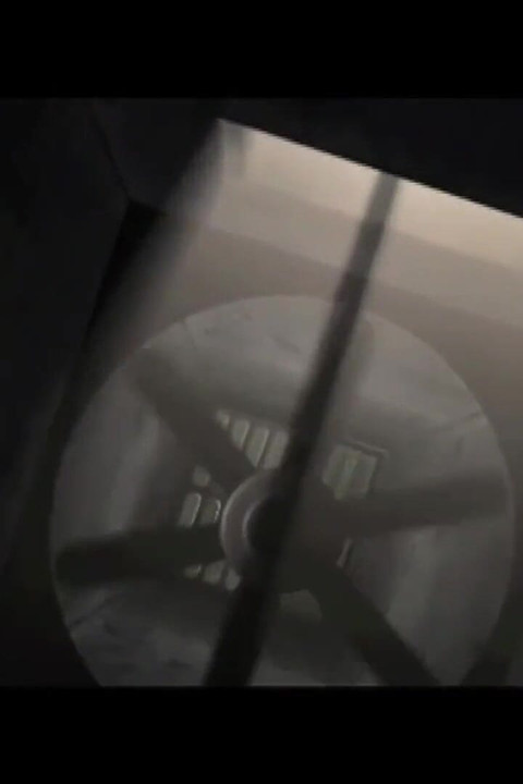 健全な性転換者の欲望