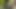 Cum Tribut im Wald für das sexy BBW-Girl "Sodomise-moi"