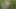 Summer cumshot in the grass - a hot tranny solo
