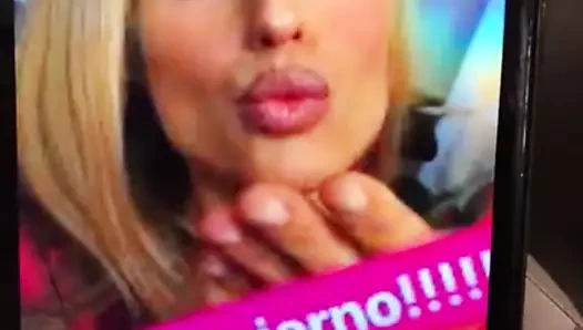 Cumtribute Michelle Hunziker 2