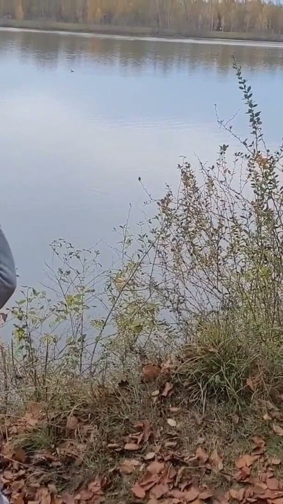 my new public dirty hairy  piss compilation for my fans | Clip 1