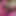 Amına kolay erişim sağlayan ateşli seksi pembe iç çamaşırını seviyorum