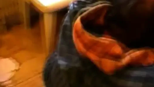Si cantik Belanda lagi asyis