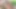 German Teen next door girlfriend make threesome FFM with milf