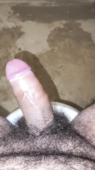 Dlakavi penis