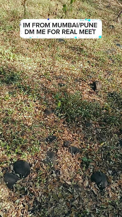 Jangal me land hila rha hu 💦