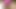 BIG AND VENOMOUS COCK IN SEXY LACE LINGERIE MASTURBATES INTENSELY