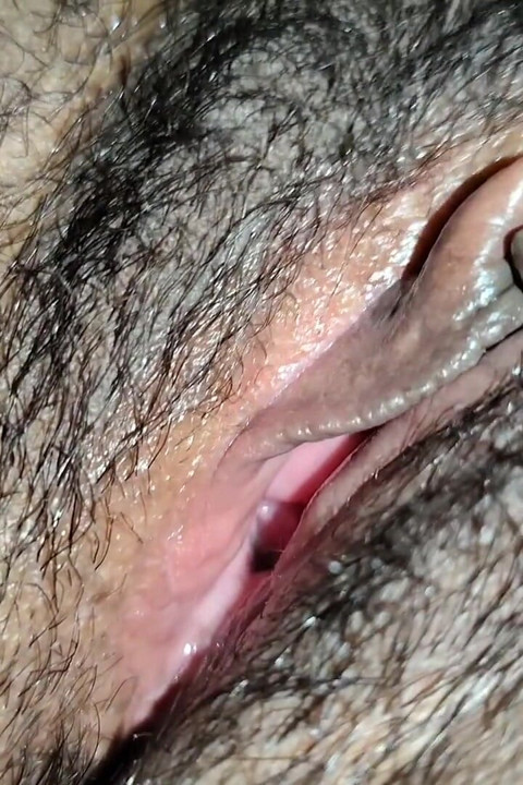 Housewife Hairy Pussy