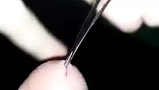 Fetiş horoz sondaj 1