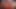 (4K) AI 3Dアニメーションポルノ - ゴスラティーナの悪役が白人のコックを崇拝する(異人種間ASMR) - AI ビジュアル X