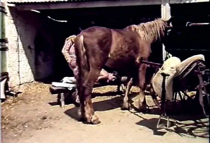 西班牙苍蝇（1985）