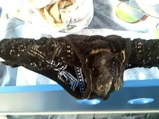 dirty panty