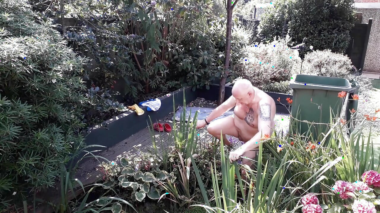 The life of a naked handyman, called next door to clean out the pond