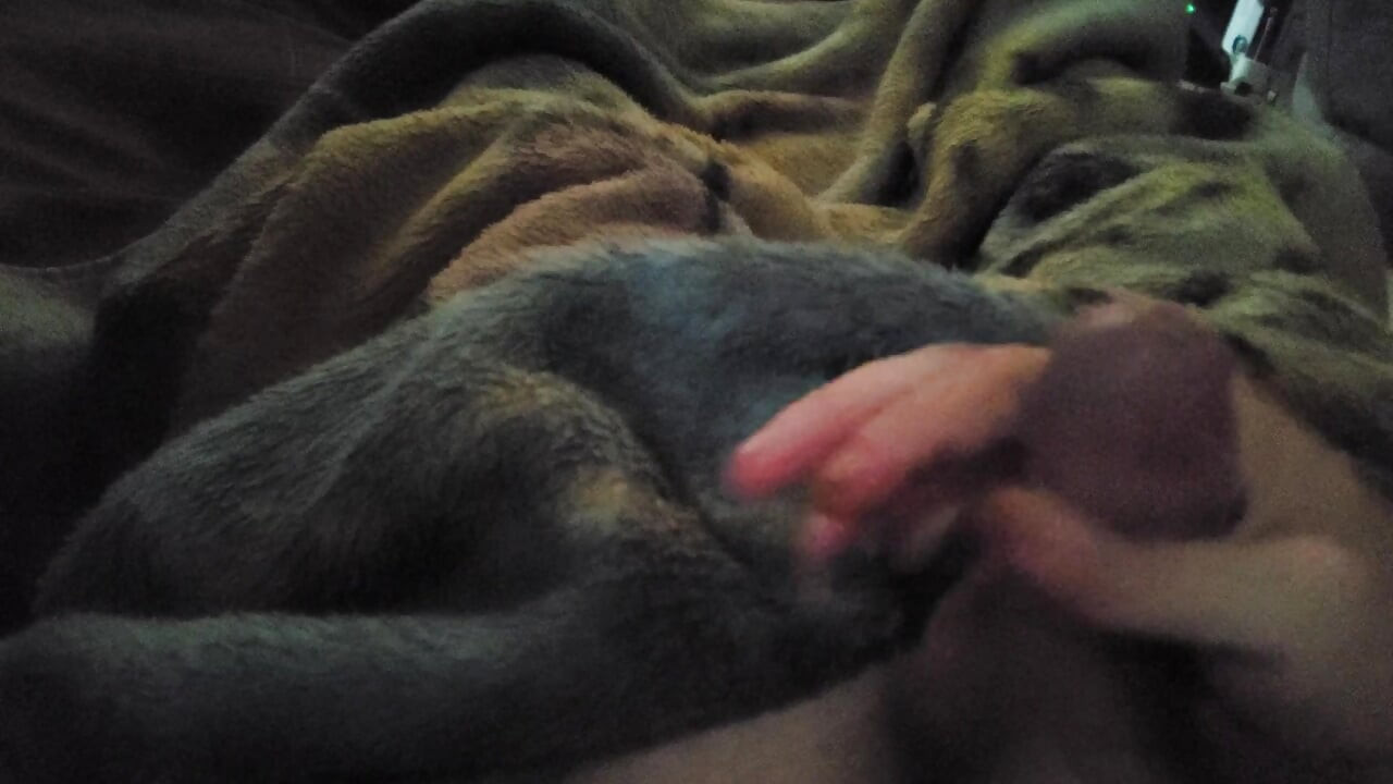 Kush sperma s mnohem více spermatu teď