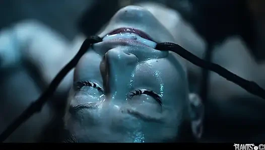 Plants Vs Cunts Vol. 11