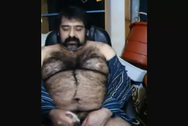 Big hairy bear and hairy body
