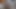 クーガーが顔面犯される