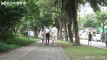 Pratinjau video