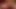 A Collection of Shy, Anxious, and Experienced Amateur Adult Stars