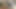 看護師が濡れた膣を試す