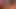 Real coed double penetrated during orgy