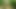 I walk naked in the woods hoping that some stranger will see me