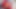 3D MMD FUTA - BBoom BBoom