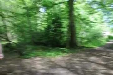 Nouvelle exhib en foret (3)