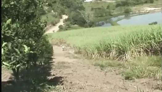 Throbbing Cock Deepthroat Outdoors - Bulging Throat and Ass Licking Frenzy