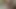 ev yapımı birkaç büyük beyaz horoz oral seks fuck ve twinks bwc