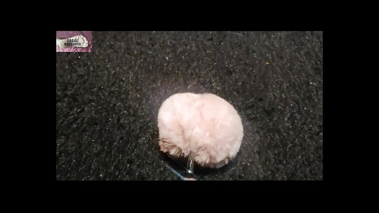 Rita se igra s kućnim ljubimcem 2