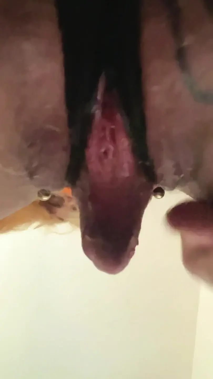 虚拟面部坐