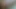 Çıplak lezbiyen kız arkadaşlar birlikte dildo emiyor