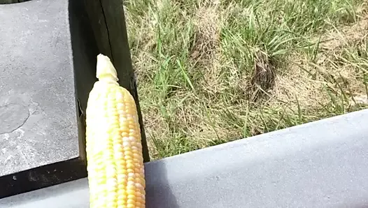Corn Fucking