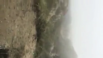 In de duinen