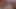 COMPILATION: farting, hairy armpits, hairy pussy, sneezing and pee