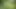 Risky Outdoor Jerk off - Almost Caught & Huge Cumshot in the Woods