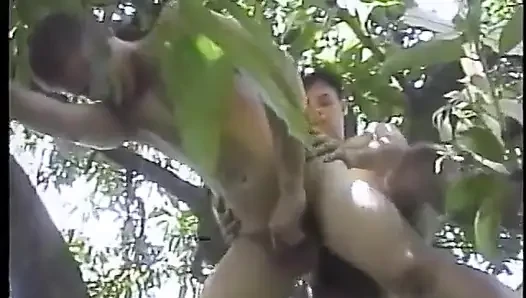 Horny guy taking dick in his ass and gives BJ in a tree and gets creamed