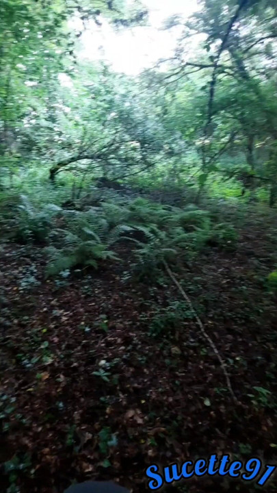 Where is Sally?