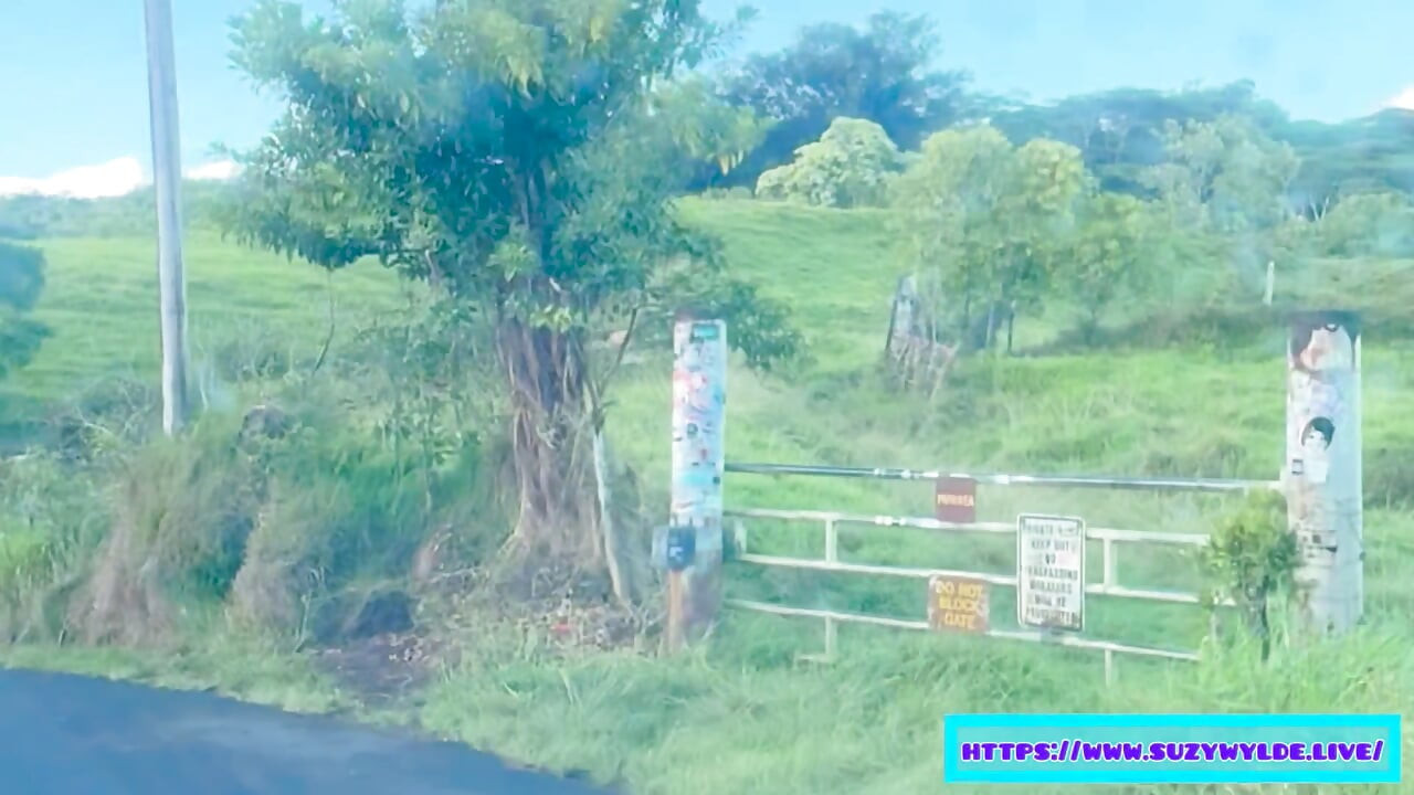 Sfw Road Trip to Hana for Suzy Wylde in Waimoku Falls, Maui