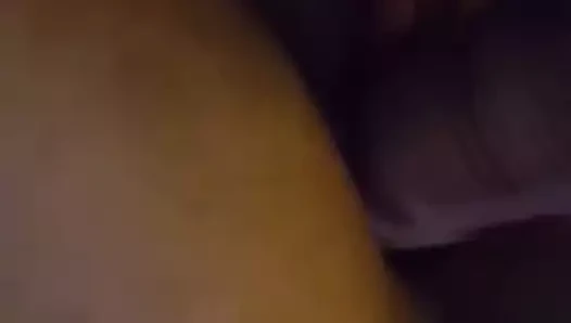 kedi ile oynamak