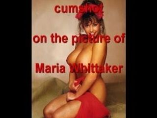 Tribute Maria Whittaker