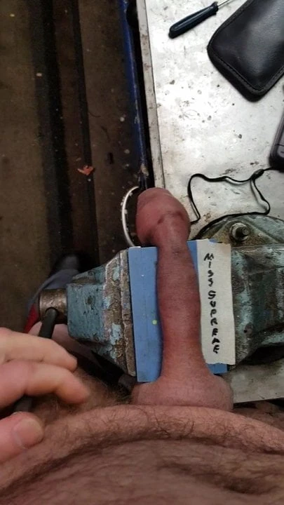 Šukání ptáka na lavičce